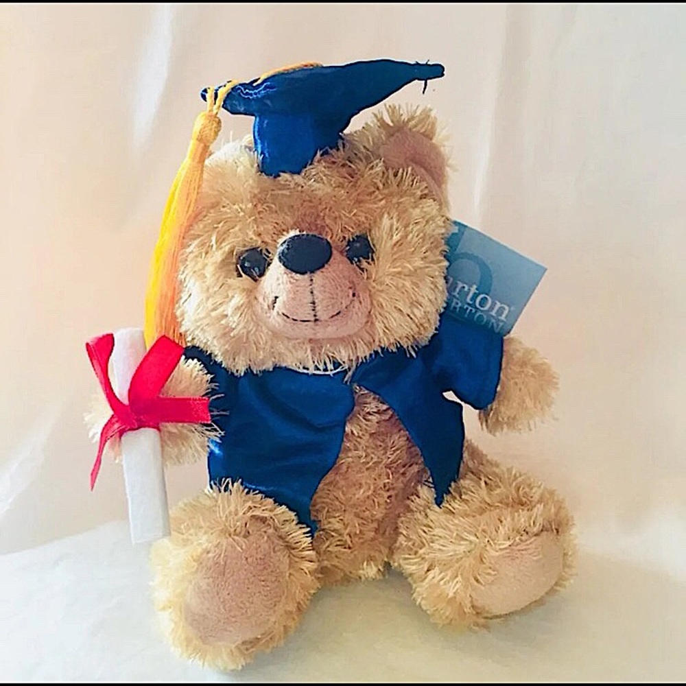 🎓Graduation Plush Bear (Blue)